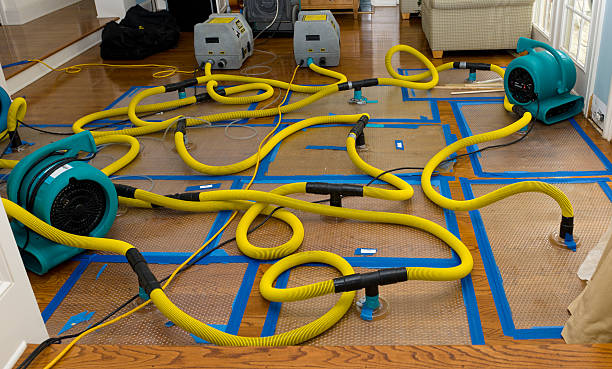 Professional Basement Flood Cleanup technician working in Wildomar, CA